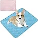 Colchón para Perros Miotlsy Alfombrilla Refrigeración Animales Alfombra refrescante para Perros La Esterilla refrigerante a su Mascota del Calor para Interior, Exterior y para el Coche 50 x 40 cm