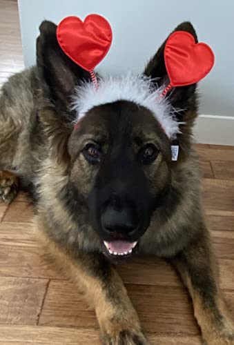 Midlee Valentine's Heart Large Dog Headband #TOP1