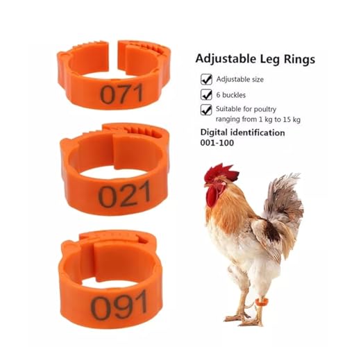 Kit 100 Anilhas Ajustáveis para Frangos, Galinhas, Pavão (laranja)