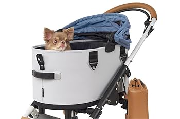 【新品未使用】エアバギードーム3 レギュラーサイズ新色リバーブルー【カスタム】 リバーブルーおすすめセット | エアバギー公式オンラインストア