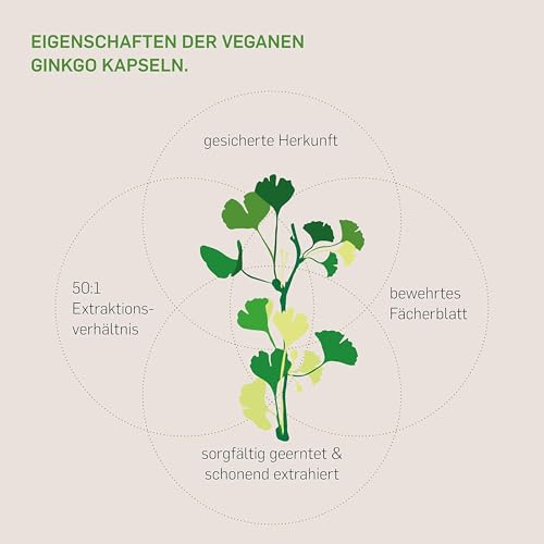 Kurkraft Ginkgo Biloba - 365 Kapseln OHNE Trennmittel - 50:1 Extrakt - Flavonglykoside + Ginkgolid-Terpenlactone - unter 1ppm Ginkgolsäure - Vegan – Bild 3