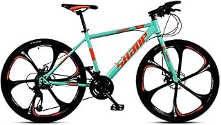 Lyyy 24 Inch Mountain Bikes, Dual Disc Brake Hardtail Mountain Bike, Mens Women High-carbon Steel All Terrain Alpine Bicycle YCHAOYUE (Color : 27 Speed, Size : Blue 6 Spoke)