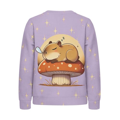 HUIACONG Sweatshirt for Boys Girls Sweater for Kids Children Shirts2