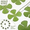 Fleurs Séchées De Trèfle À Quatre Feuilles, Spécimen De Plante De Trèfle À Quatre Feuilles, Porte-Bonheur De Trèfle À Quatre Feuilles, Fleurs Séchées Décoratives DIY, 24 Pièces #2