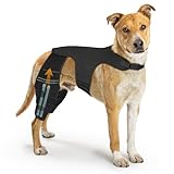 GoGoPaw Dog Knee Brace for Hind Legs ACL Support - Adjustable Double Back Leg Brace for Dogs with Joint Pain Relief, Luxating Patella, Arthritis Recovery, Hip Dysplasia ((XX-Large))