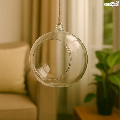 Image of ecofynd Glass Vase for Flowers Plants, Modern Decorative Vase for Home Decor Center Table, Bedroom, Living Room, Office Decoration, Wedding or Gifts (GVASE001)