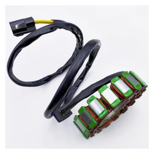 Stator magnéto pour SSV 1000 Z10 et UTV 800 Z8 pièce 0800-032000-4000