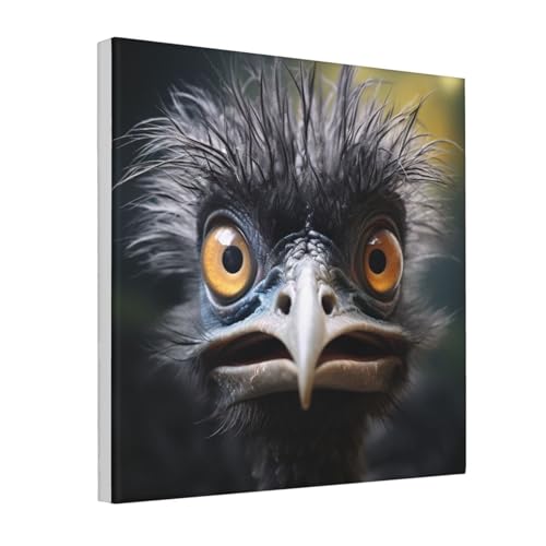 Impression sur toile Emu encadrée de qualité supérieure 40 cm