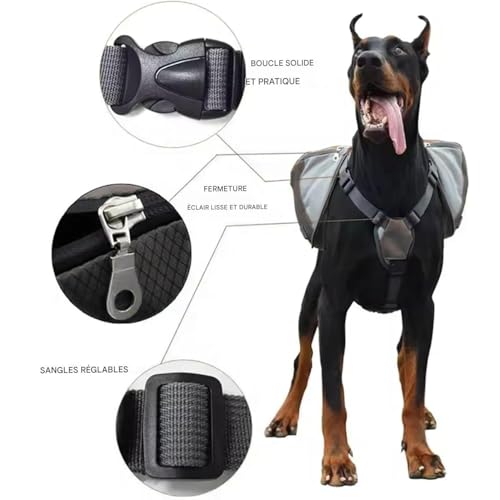Harnais de randonnée pour chien idéal pour le camping et les trajets en voiture - 7