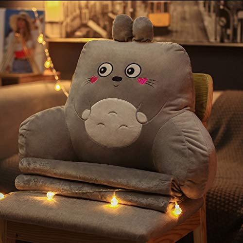 N/A Séjour Canapé Jouet Oreiller Coussin Lombaire, Coussin Bureau Siège Lombaire, Chambre Chevet Coussin, Enceinte Chaise Femme Taille Coussin Sofa (Color : C)