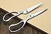 Yoshihiro All Stainless Steel Pull-Apart Japanese Kitchen Shears/Scissors 8.25 Inch (210mm) - Made in Japan