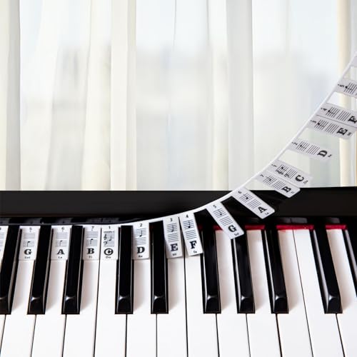 Klavier Noten Leitfaden für Anfänger Lernen, abnehmbare Klavier Tastatur Noten Etiketten für alle 88/61/54/49/37 Tasten, keine Notwendigkeit Aufkleber, wiederverwendbar, aus Silikon
