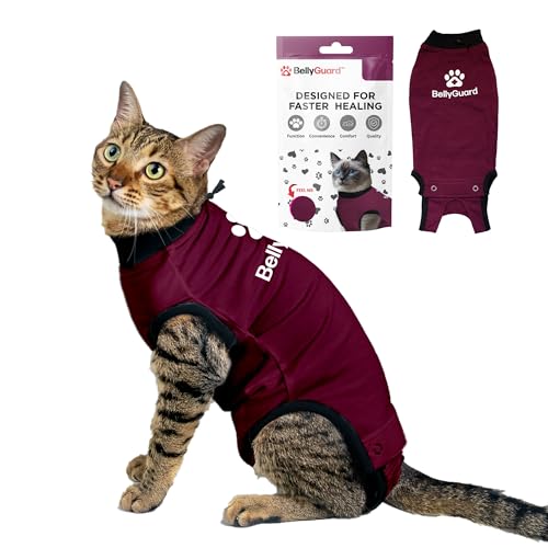 Bellyguard Cat Recovery Suit for Post-Op Care