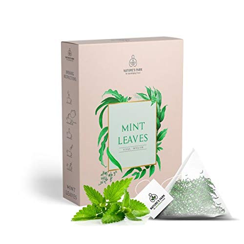 Image of NATURE'S PARK Herbal Infusion (Mint Leaves)