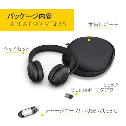 Evolve2 65 MS Stereo - 画像 5