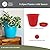 The HC Companies Eclipse Round Planter with Saucer - Outdoor & Indoor Plant Pot with Drainage Holes - Lightweight, UV-Resistant Plastic Pots for Plants, Flowers & Herbs (12" Red, Pack of 1)