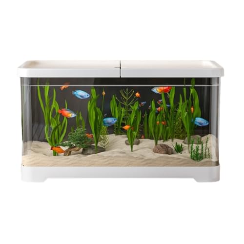 Apaeofl ^ rO[ fXNgbv    Ԋw tB^[ _f @ tZbg (Ƃ,30x19.5x18.4cm)