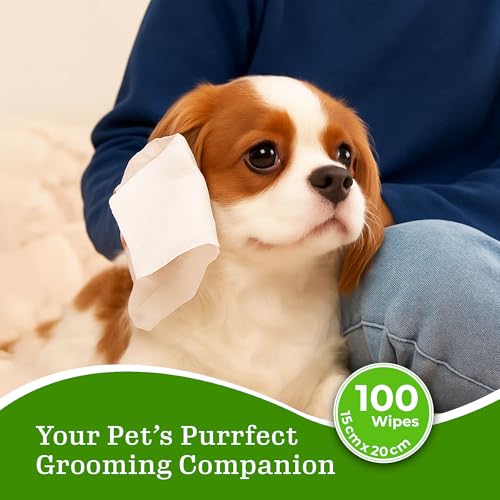 Image of Tailworld Grooming Pet Wet Wipes for Dogs & Cats with Aloe Vera Fragrance | Soft, Anti-Bacterial, Paraben & Alcohol Free Cleansing & Deodorising Wet Tissues | 600 Wipes (Pack of 6)