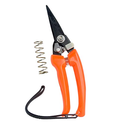 Tijeras para pezuñas de oveja 8 pulgadas acero carbono miniatura 1
