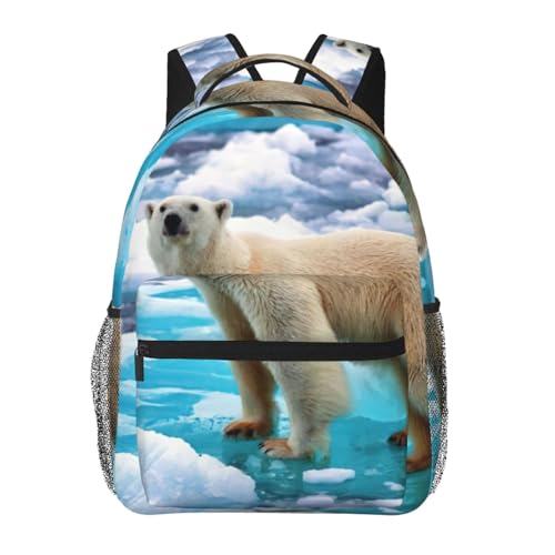 Mochila diaria casual 20 x 29 x 40 cm y mochila clásica cómoda para viajes urbanos