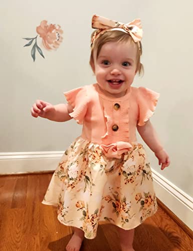 Newborn Baby Girl Dress Floral Ruffle Sleeve Casual Beach Sundress Princess Skirt Clothes Summer Outfits Dresses For Girls (Pink, 0-3 Months) #TOP2