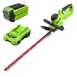Greenworks G40HT61K2 Tagliasiepi a Batteria, Lame a Doppia Azione da 61cm, Taglia Rami e Steli Fino a 27mm di Spessore, 3000spm, Batteria 40V 2Ah e Caricabatterie, Garanzia 3 Anni