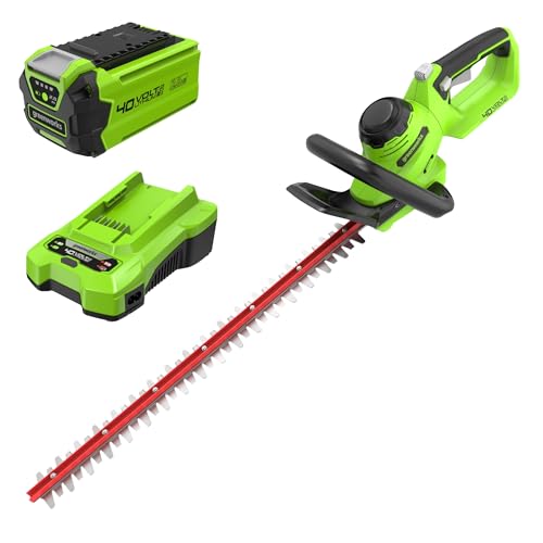 Greenworks G40HT61K2 Tagliasiepi a Batteria, Lame a Doppia Azione da 61cm, Taglia Rami e Steli Fino...