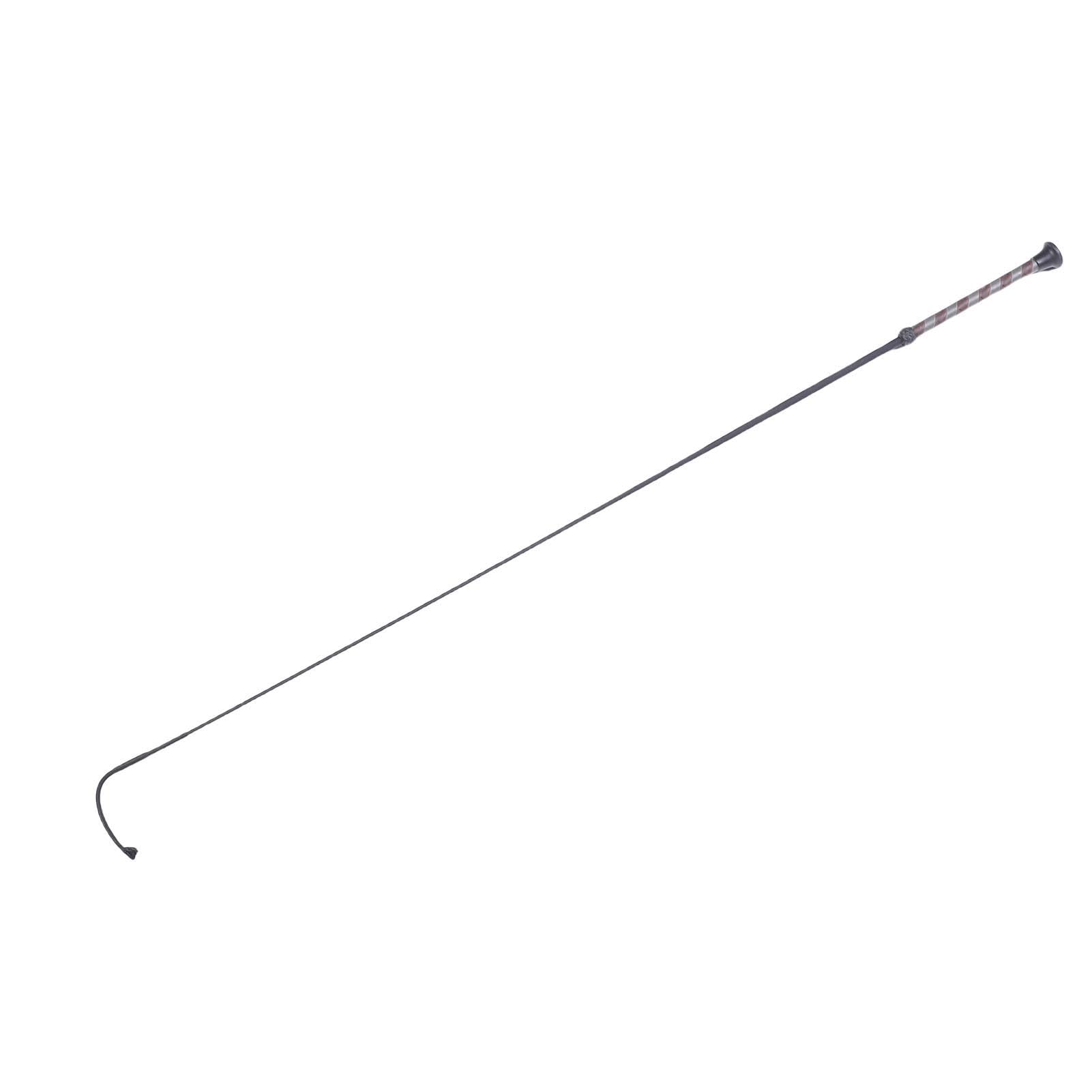 RiToEasysports Fusta de Caballo de Fibra de Carbono, Látigo de Montar de 110cm con Cabeza Tejida de Nylon para Entrenamiento Ecuestre