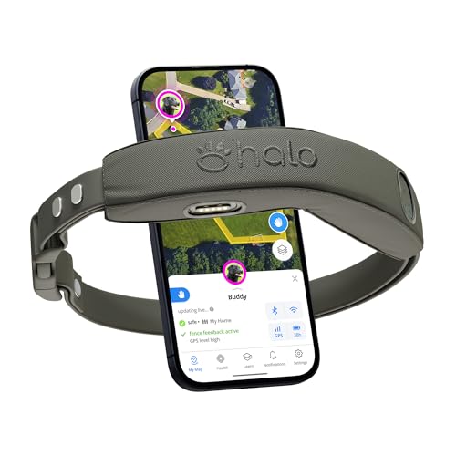 Halo Collar 4, GPS Wireless Dog Fence & Dog Training Collar with GPS Tracker, Subscription Required, Waterproof, Graphite, One Size