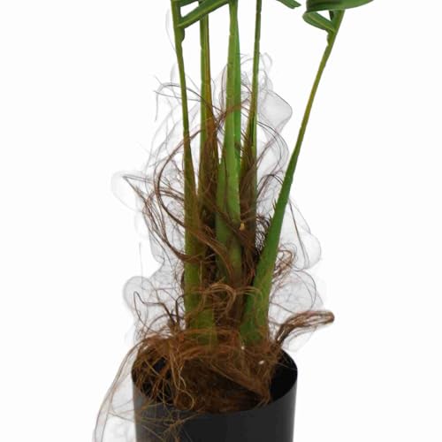 Palmier éclairé haute luminosité technologie LED 90 cm pour décors extérieurs durables