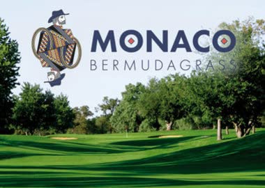 Monaco Bermuda Grass Seed (50 Lbs.) #TOP26
