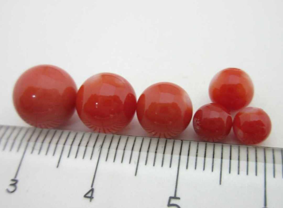 Amazon.co.jp: 血赤珊瑚桃珊瑚サンゴ大8.5mm片穴ルースセットリング