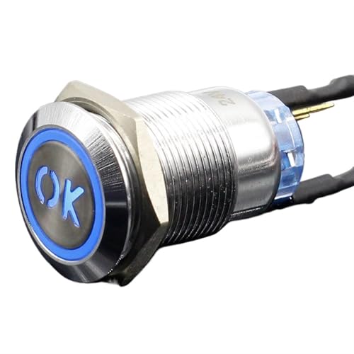 Interruptor de botón de 19mm de metal tipo L momentáneo con luz azul de 5V 4