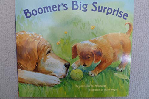 By Constance W. McGeorge Boomer's Big Surprise ... B00SB4XYFA Book Cover