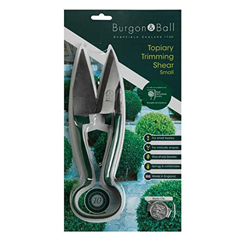Burgon & Ball GTS/CTGA RHS Topiary Trimming Shears - Small