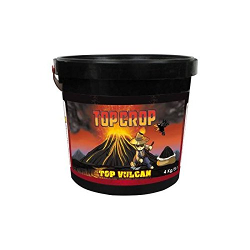 Crop Top – Top Vulcan – 700 gr