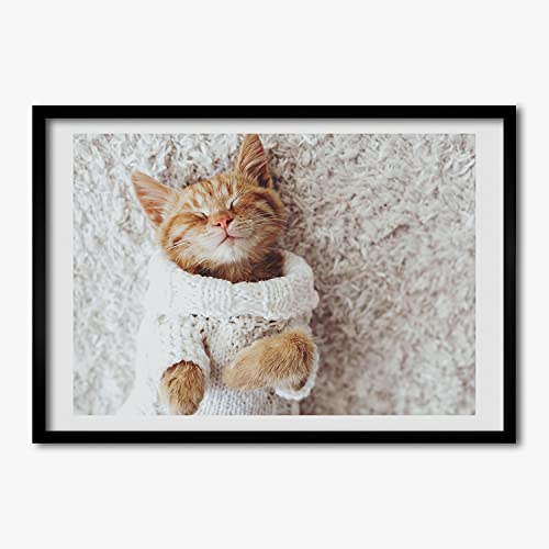 Cadre photo chaton pull 70x50 cm tableau tendresse pour une touche de douceur