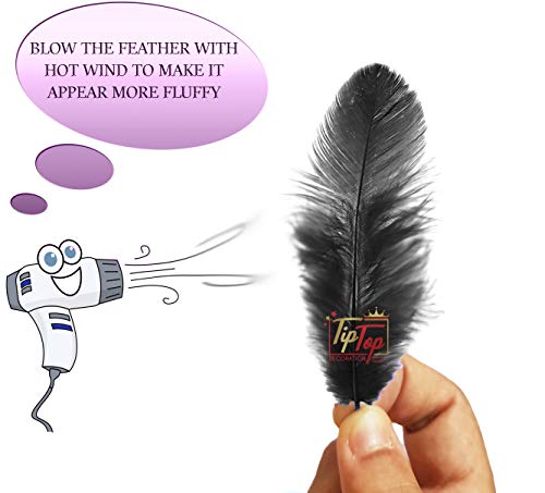 Image of TIPTOP DECORATION Natural Dyed Feathers 10 cm (80 pieces) (Black)