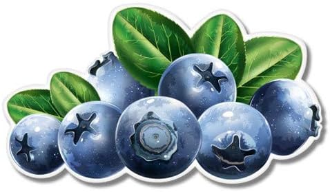 Blueberries Berries Healthy Food - Adhesivo de vinilo impermeable