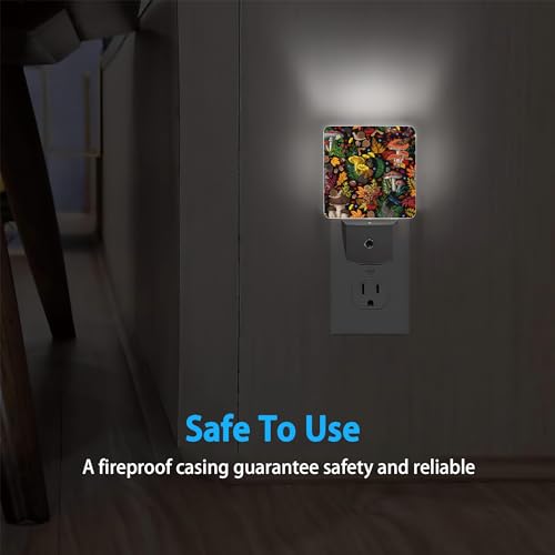 Image of Mushrooms Night Light,Mushroom Plants Berries Butterfly Night Lights Plug into Wall for Boys Girls, Led Lamp for Stairway /Hallway /Bedroom 0.5W Nightlight Sleep Friendly