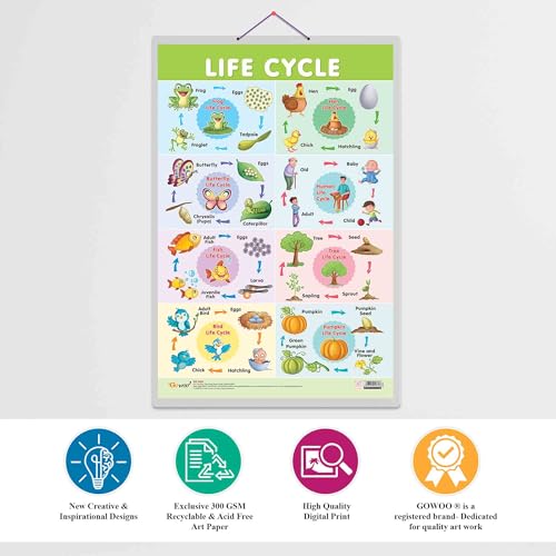 Image of GO WOO Life Cycle Chart and PRINCESS HEIGHT CHART | Set of 2 charts 1 Educational + 1 Height Chart | Dive into the combo Life Cycle Chart and Princess Height Chart