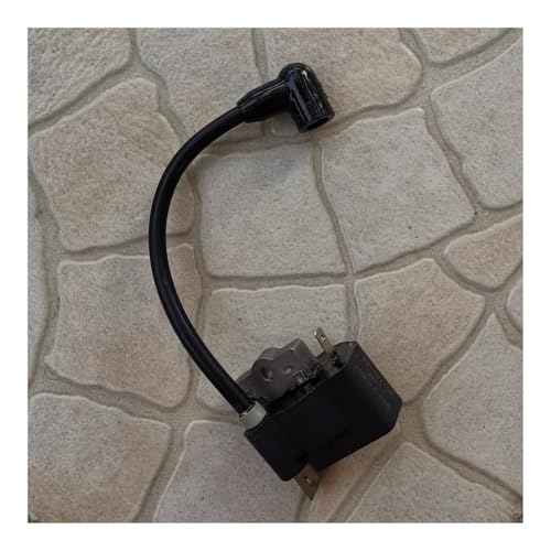 Bobine d'allumage 545215801 pour réparer les pannes de démarrage à chaud