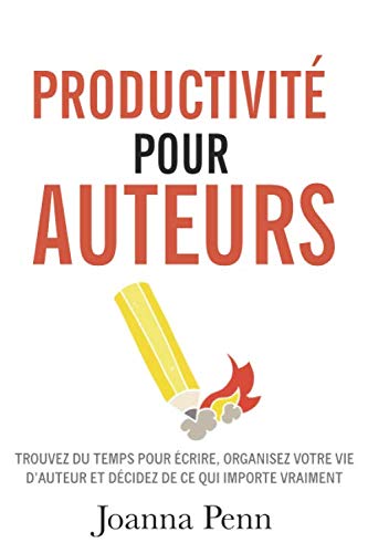 Livre Windows 11 seniors : manuel utilisation PC débutant visuel