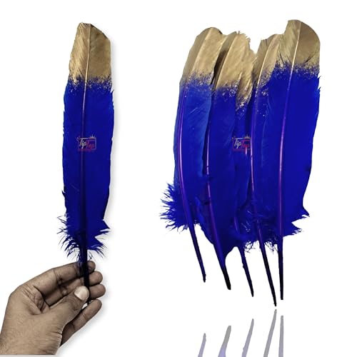 Image of Premium Gold Dipped Big Goose Feathers Quills (5 Pieces) (12-14 inch) (Dark Blue)