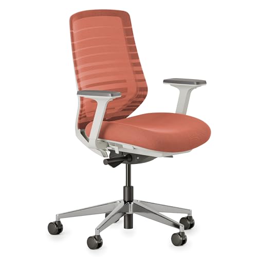 10 Best Chair for L5 S1 Herniated Disc: Top Ergonomic Support Choices 1 Branch Ergonomic Chair - A Versatile Desk Chair with Adjustable Lumbar Support, Breathable Mesh Backrest, and Smooth Wheels - Experience Optimal Comfort and Support - Poppy