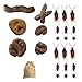 Zerodeko Fake Poop Brok Jouets Fake Chien Poop Set avec Et Spider Simulation Turd Accessoires Cadeaux Funny Trick Jouet Ensemble pour La Décoration de Fête D' Avril des Imbéciles (1 Pack