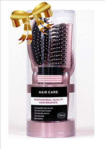 12 Piece Champaign Essential Hair Care Professional Quality Boxed Hair Brush Gift Set