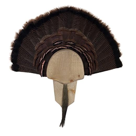 Walnut Hollow Country Mount Turkey Fan Mount & Display Kit, Solid Wood Rustic Barn Board Finish, Charcoal