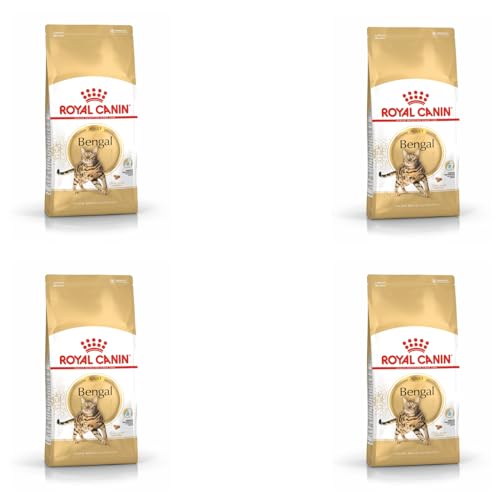Royal Canin Bengal Adult | Confezione da 4 | 4 x 400 g | Alimento completo per gatti | Specifico per gatti bengalesi adulti | A partire dal 12° mese | Cibo secco per gatti bengalesi