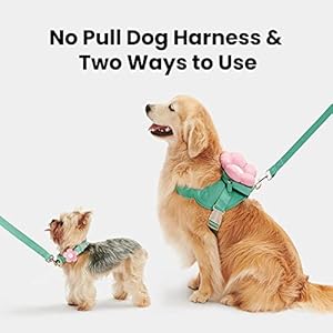   VETRESKA-Flora-Dog-Harness-Leash-and-Collar-Set-No-Pull-Dog-Vest-Harness-for-Walking-and-Training-Adjustable-Easy-Control-and-Soft-Padded-Pet-Harness-and-Backpack-for-Small-Medium-Large-Dogs-L
